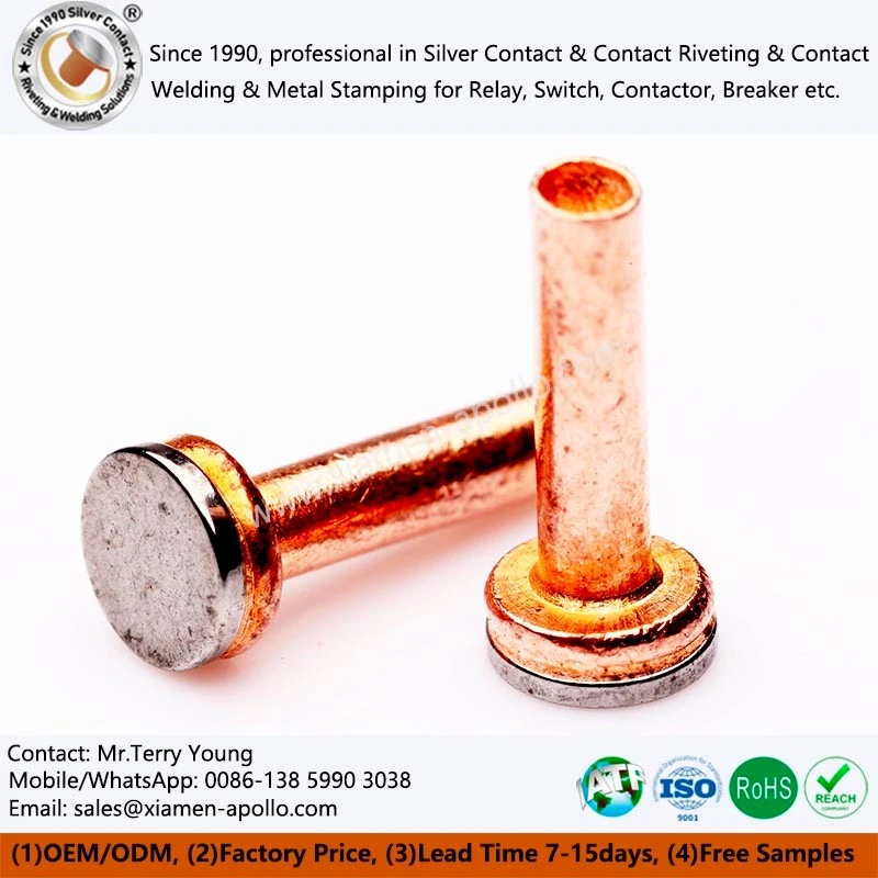 Tungsten Brazed Rivets Tungsten Brazed Rivets